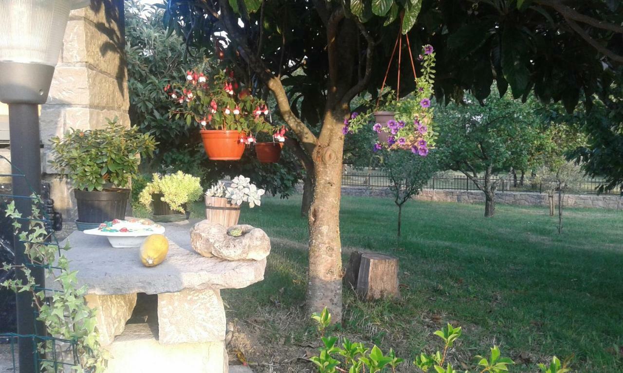 Apartman Nevia Holiday Home Ciritez Extérieur photo